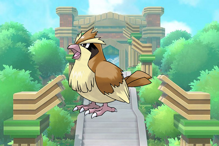 Roucool - Pokémon Let's Go, Pikachu et Évoli - 016